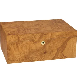 adorini Humidor Fresno Oliváceo Specially Selected Grande