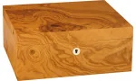 Humidor Adorini Salento de madera de olivo mediano Deluxe