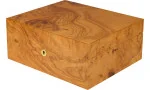 adorini Humidor Salento Madera de Olivo Medium Deluxe imagen 15