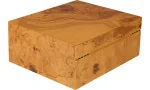adorini Humidor Salento Madera de Olivo Medium Deluxe imagen 17