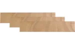 adorini Divider largo para Primo Deluxe Humidor, pack de 3
